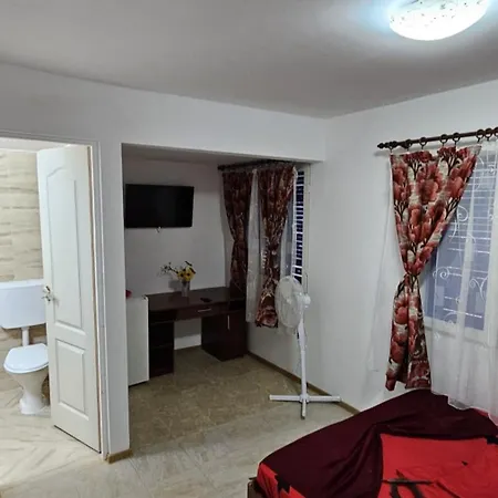 Obelisc * コスティネシュティ